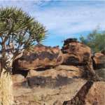 fish river Canyon plant